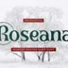 Шрифт - Roseana